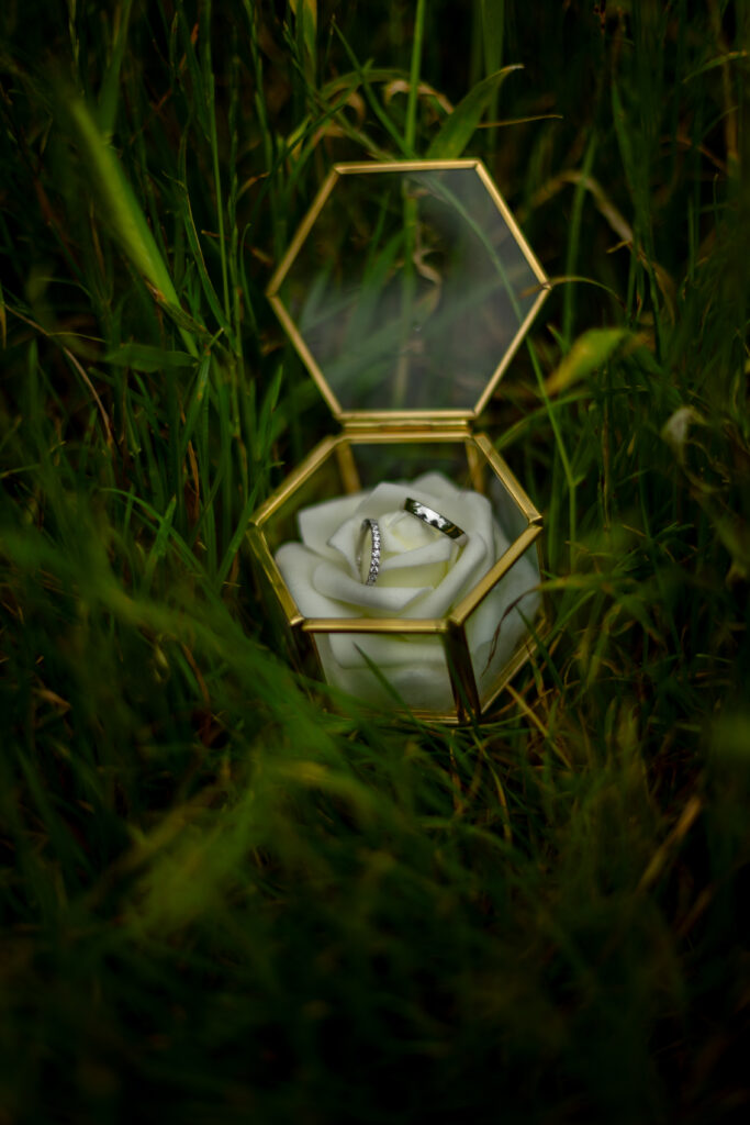 Camille&Florian 01.06.24-132